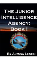 Junior Intelligence Agency