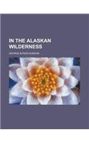 In the Alaskan Wilderness