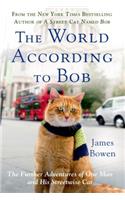 The World According to Bob