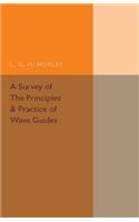 Survey of the Principles and Practice of Wave Guides