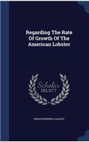Regarding The Rate Of Growth Of The American Lobster