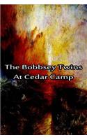 The Bobbsey Twins At Cedar Camp