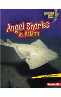 Angel Sharks in Action