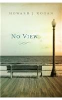 No View