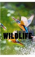 Wildlife