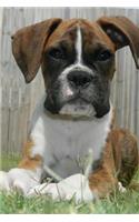 Very Sweet Boxer Dog Pet Portrait Journal