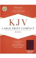 Large Print Compact Bible-KJV-Snap Flap