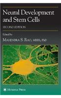 Neural Development and Stem Cells