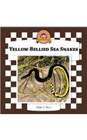 Yellow-Bellied Sea Snakes