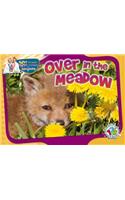Over in the Meadow