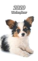 2020 Wochenplaner: Kontinentaler Zwergspaniel Papillon Welpe - 107 Seiten, 15cm x 23cm ca. A5 - Taschenkalender - Terminplaner - Tagebuch - Terminkalender - Organizer 