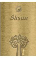 Shaun: Personalized Name Journal/Notebook for Men - Masculine Metal-look Cover with Lined Writing Pages