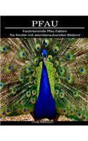 Pfau: Faszinierende Pfau Fakten für Kinder mit atemberaubenden Bildern!