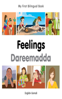 My First Bilingual Book -  Feelings (English-Somali)