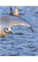 Seagull Gull Seabird Flight Flying Wing Plumage Notebook