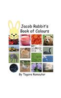Jacob Rabbit's Book of Colour