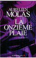 Onzieme Plaie (La): (6139646 Romans, Nouvelles, Recits (Domaine Francais))