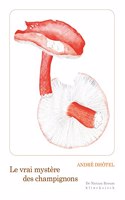 Le Vrai Mystere Des Champignons