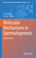 Molecular Mechanisms in Spermatogenesis
