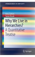 Why We Live in Hierarchies?