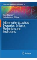 Inflammation-Associated Depression: Evidence, Mechanisms and Implications