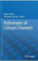 Pathologies of Calcium Channels