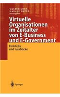 Virtuelle Organisationen Im Zeitalter Von E-Business Und E-Government