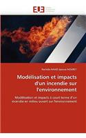 Mod�lisation Et Impacts d''un Incendie Sur l''environnement