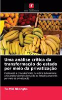 Uma análise crítica da transformação do estado por meio da privatização