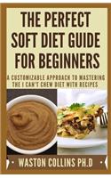 The Perfect Soft Diet Guide for Beginners: A Customizable Approach to Mastering The I Can't Chew Diet With Recipes