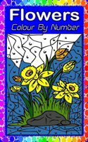 Flowers Color By Number