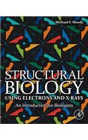 Structural Biology Using Electrons and X-rays: An Introduction for Biologists