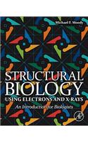 Structural Biology Using Electrons and X-Rays