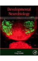 Developmental Neurobiology