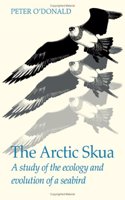 Arctic Skua