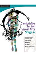 Cambridge Senior Visual Arts with Student CD-ROM