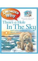 I Wonder Why There's a Hole in the Sky: (I Wonder Why)