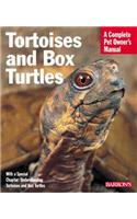 Tortoises and Box Turtles