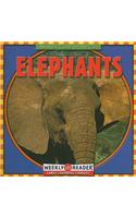 Elephants