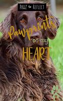 Pawprints On My Heart 22