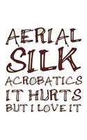 Aerial Silk Acrobatics It Hurts But I Love It