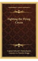 Fighting the Flying Circus