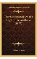 There She Blows! or the Log of the Arethusa (1877)