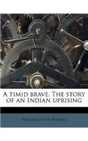 A Timid Brave. the Story of an Indian Uprising