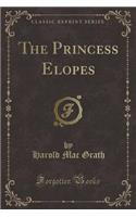 The Princess Elopes (Classic Reprint)