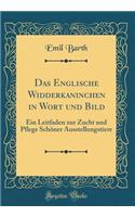 Das Englische Widderkaninchen in Wort Und Bild