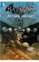 Batman: Arkham Unhinged Volume 4 HC