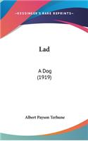 Lad: A Dog (1919)