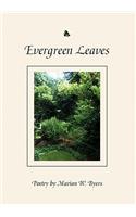 Evergreen Leaves: (English)