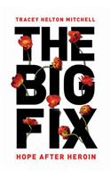 Big Fix Lib/E